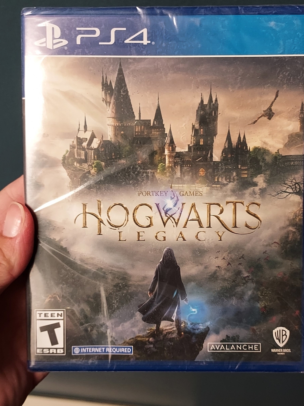 Hogwarts Legacy - PS4 (Blue)